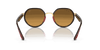 [Brown/Grey Lenses, Polished Gold Frame]