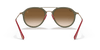 [Light Brown Gradient Lenses, Polished Green Frame]