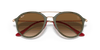 [Light Brown Gradient Lenses, Polished Green Frame]