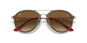 Light Brown Gradient Lenses, Polished Green Frame