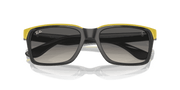 Grey Lenses, Polished Grey On Yellow Frame