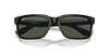 [Green Lenses, Polished Black Frame]