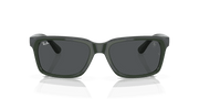 Grey Lenses, Polished Green On Black Frame