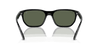 [Dark Green Lenses, Polished Black Frame]