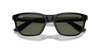 [Dark Green Lenses, Polished Black Frame]