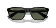 Dark Green Lenses, Polished Black Frame