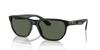 [Dark Green Lenses, Polished Black Frame]