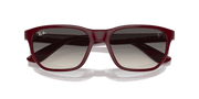 Grey Lenses, Polished Dark Red Frame