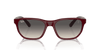 [Grey Lenses, Polished Dark Red Frame]