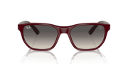 Grey Lenses, Polished Dark Red Frame