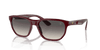 [Grey Lenses, Polished Dark Red Frame]