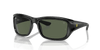 [Dark Green Lenses, Polished Black Frame]