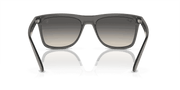 Grey Lenses, Polished Transparent Grey Frame