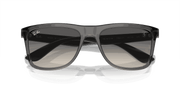 Grey Lenses, Polished Transparent Grey Frame