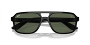 Dark Green Lenses, Polished Black Frame