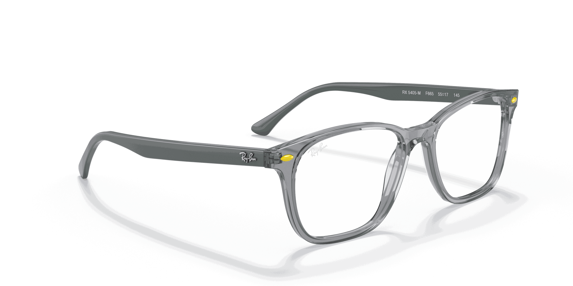 [Clear Lenses, Polished Transparent Grey Frame]