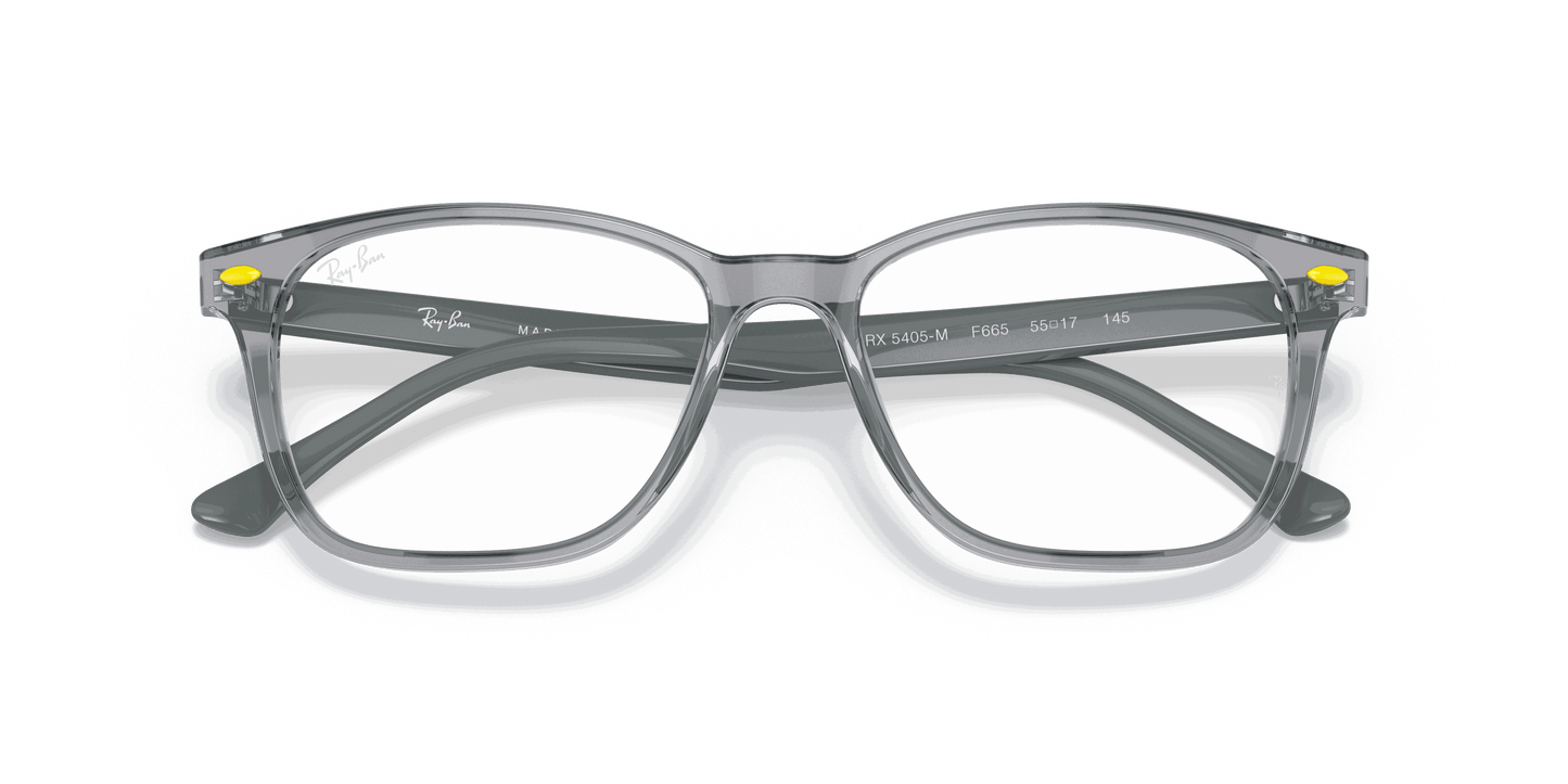 [Clear Lenses, Polished Transparent Grey Frame]