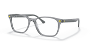 Clear Lenses, Polished Transparent Grey Frame