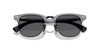 [Polarized Dark Grey Lenses, Matte Brushed Grey On Black Frame]