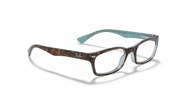 Clear Lenses, Polished Tortoise Frame