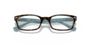 Clear Lenses, Polished Tortoise Frame