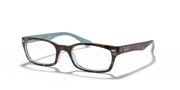 Clear Lenses, Polished Tortoise Frame