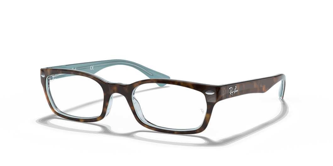 [Clear Lenses, Polished Tortoise Frame]