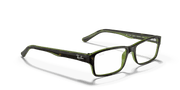 Clear Lenses, Polished Havana On Green Frame