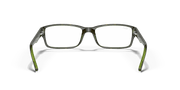 Clear Lenses, Polished Havana On Green Frame