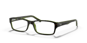 Clear Lenses, Polished Havana On Green Frame