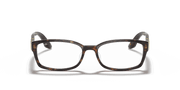 Clear Lenses, Polished Tortoise Frame