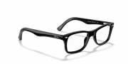 Clear Lenses, Polished Black Frame