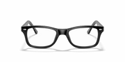 Clear Lenses, Polished Black Frame