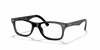 [Clear Lenses, Polished Black Frame]