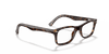 [Clear Lenses, Polished Dark Havana Frame]