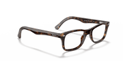 Clear Lenses, Polished Dark Havana Frame