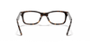 [Clear Lenses, Polished Dark Havana Frame]