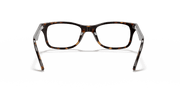 Clear Lenses, Polished Dark Havana Frame