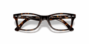 Clear Lenses, Polished Dark Havana Frame