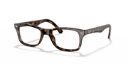 Clear Lenses, Polished Dark Havana Frame