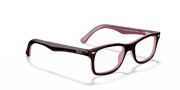 Clear Lenses, Polished Brown Frame