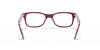 [Clear Lenses, Polished Brown Frame]