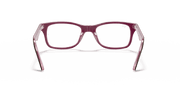 Clear Lenses, Polished Brown Frame