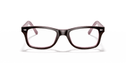 Clear Lenses, Polished Brown Frame