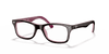 [Clear Lenses, Polished Brown Frame]