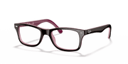 Clear Lenses, Polished Brown Frame