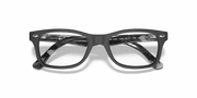 Clear Lenses, Matte Black Frame