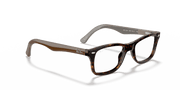 Clear Lenses, Polished Havana Frame