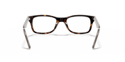 Clear Lenses, Polished Havana Frame