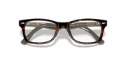 Clear Lenses, Polished Havana Frame